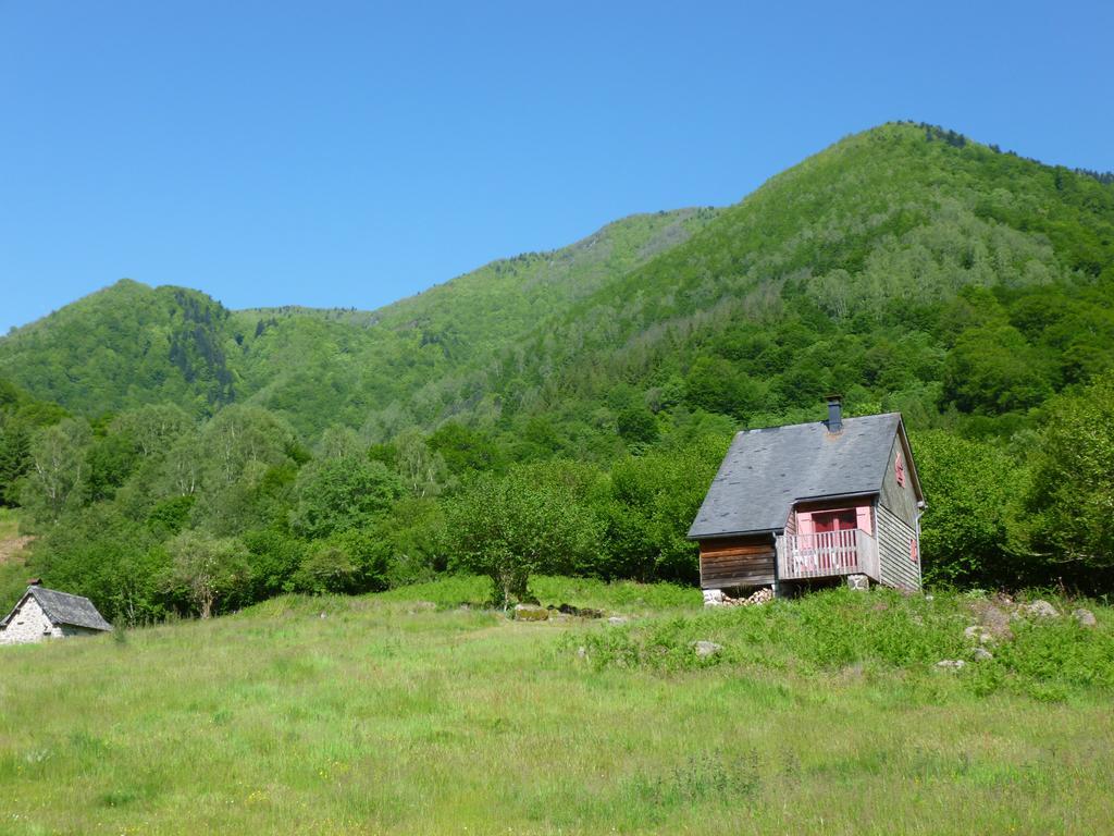 Les chalets de la forêt d'Issaux Osse-en-Aspe Exterior foto