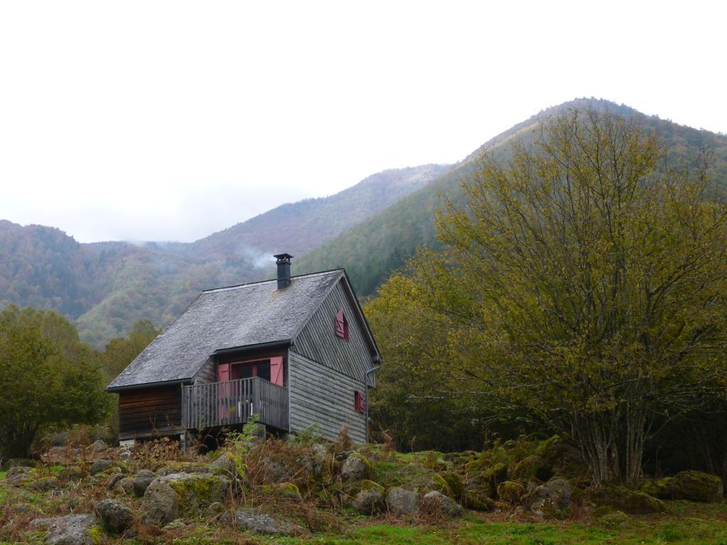 Les chalets de la forêt d'Issaux Osse-en-Aspe Exterior foto