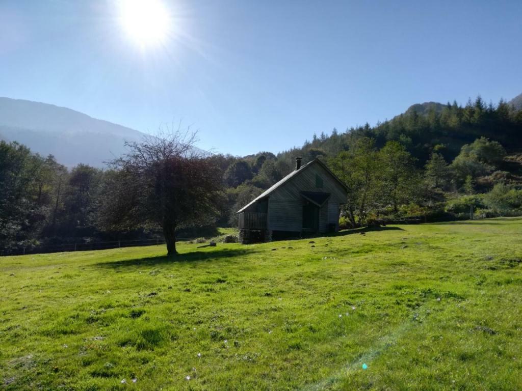 Les chalets de la forêt d'Issaux Osse-en-Aspe Exterior foto