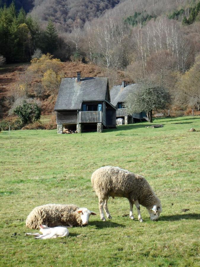 Les chalets de la forêt d'Issaux Osse-en-Aspe Exterior foto